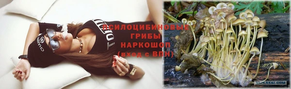 гидра Богородск
