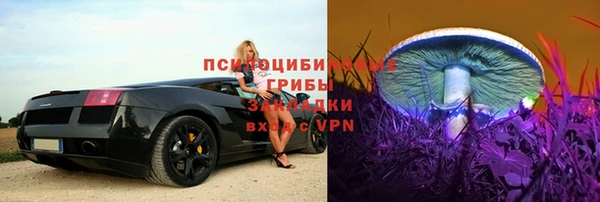 каннабис Новозыбков