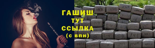 гидра Богородск
