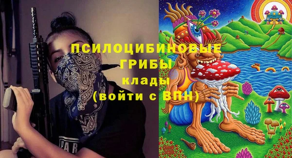 PSILOCYBIN Новодвинск