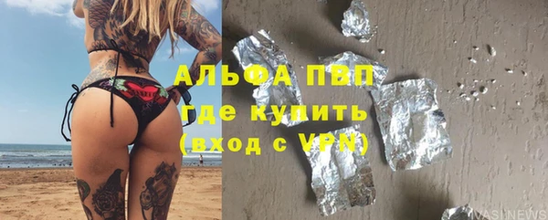 гидра Богородск